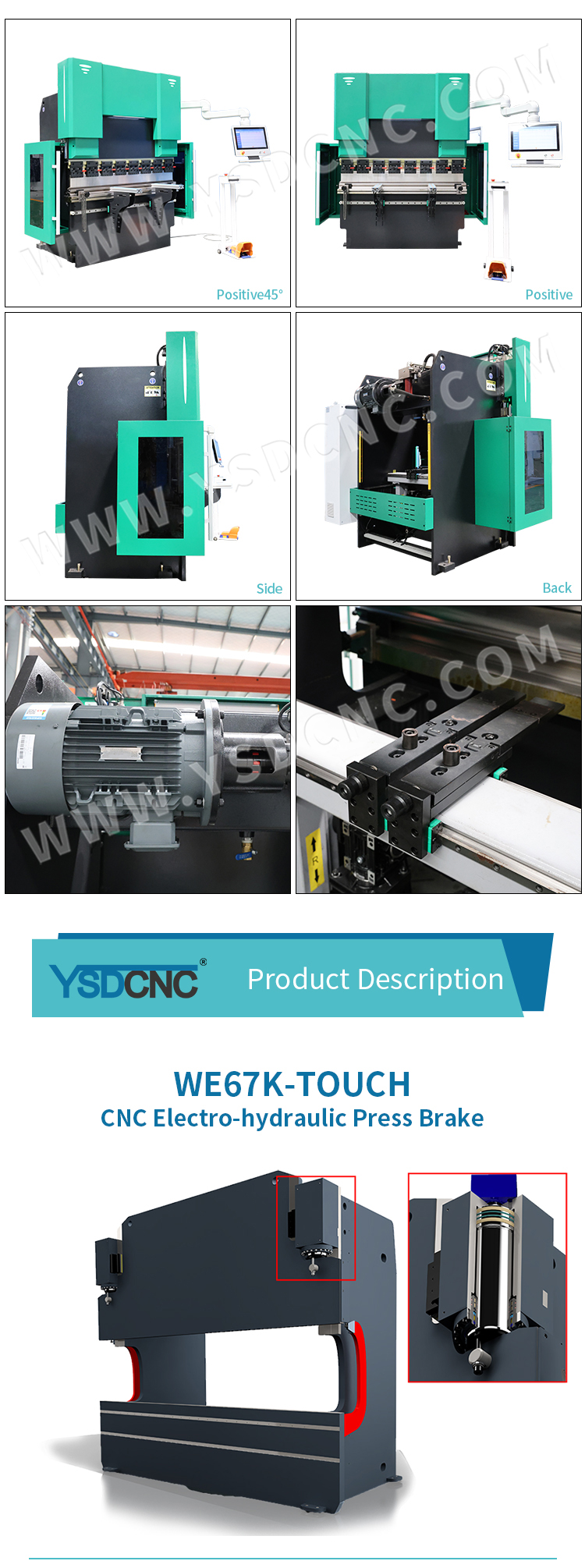 WC67K 80TON2000 数控液压折弯机配 EL 19T (5)